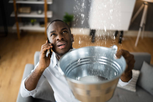 Best Commercial water damage restoration  in Havelock, NC