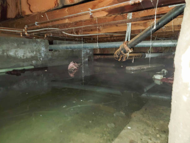  Havelock, NC Water damage restoration Pros