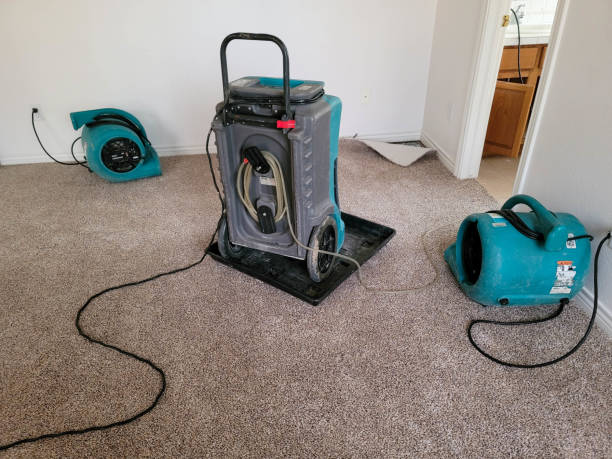 Best Water damage restoration insurance claims  in Havelock, NC