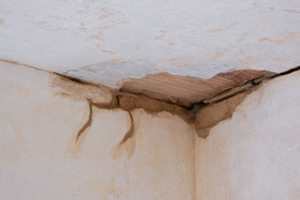 Best Basement water damage restoration  in Havelock, NC
