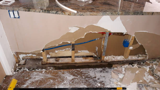 Best Carpet water damage restoration  in Havelock, NC