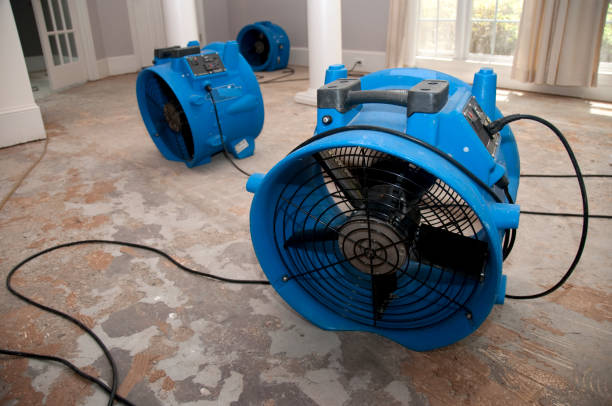 Best Flood damage cleanup  in Havelock, NC