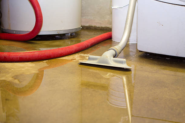 Best 24-hour water damage restoration  in Havelock, NC