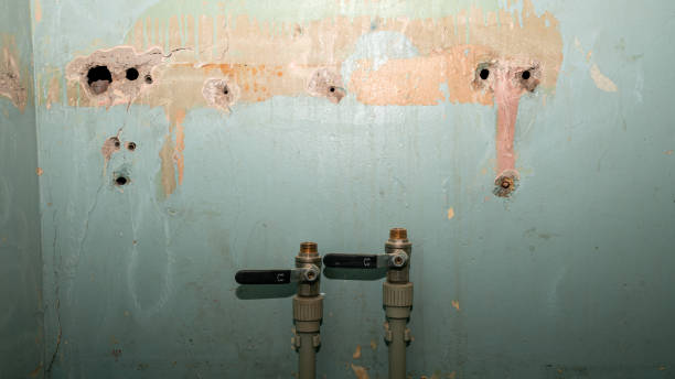 Best Water damage restoration process  in Havelock, NC