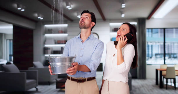Best Flooded house restoration  in Havelock, NC